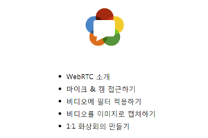 WebRTC 연구실